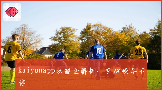 kaiyunapp功能全解析，多端畅享不停