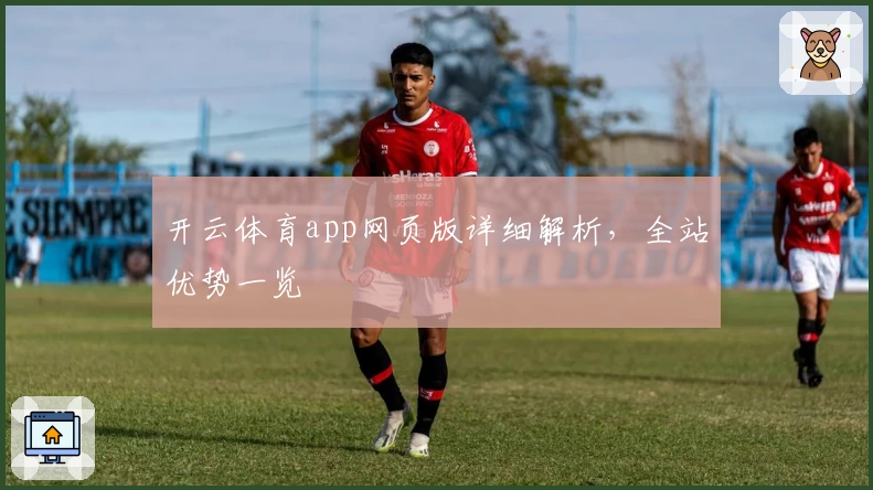 开云体育app网页版详细解析，全站优势一览